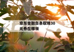 京东金融白条取现30元券在哪领