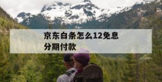 京东白条怎么12免息分期付款