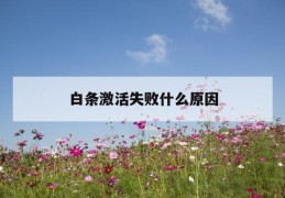 白条激活失败什么原因
