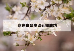 京东白条申请延期成功