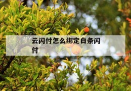云闪付怎么绑定白条闪付