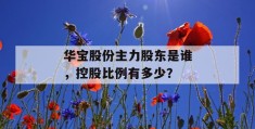 华宝股份主力股东是谁，控股比例有多少？
