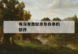 有没有类似京东白条的软件