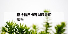 招行信用卡可以境外汇款吗
