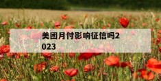 美团月付影响征信吗2023