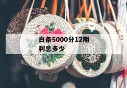 白条5000分12期利息多少