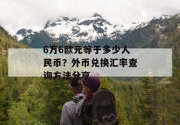 6万6欧元等于多少人民币？外币兑换汇率查询方法分享