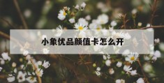 小象优品颜值卡怎么开