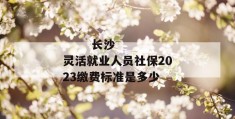 
       长沙灵活就业人员社保2023缴费标准是多少
     