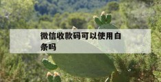 微信收款码可以使用白条吗