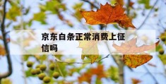 京东白条正常消费上征信吗
