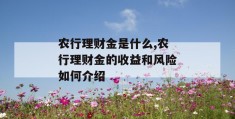 农行理财金是什么,农行理财金的收益和风险如何介绍