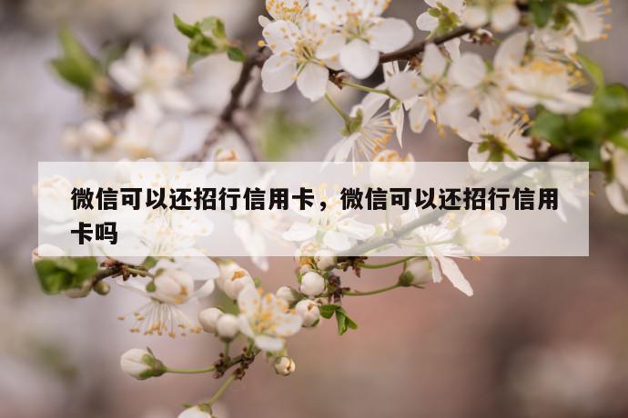 微信可以还招行信用卡，微信可以还招行信用卡吗 第1张