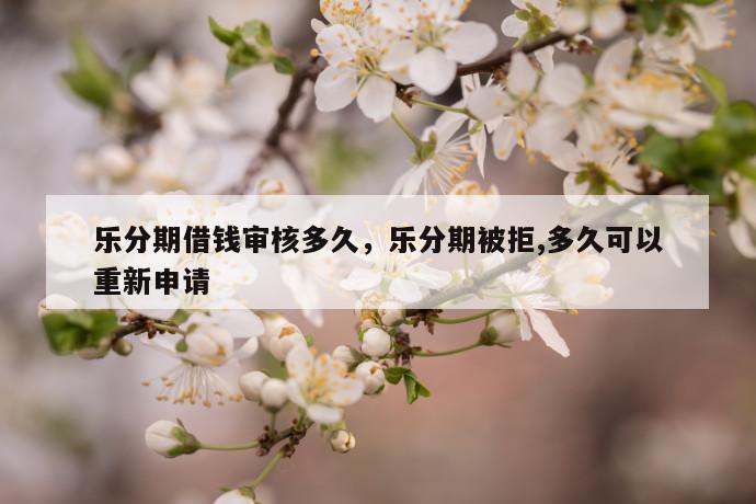 乐分期借钱审核多久，乐分期被拒,多久可以重新申请 第1张