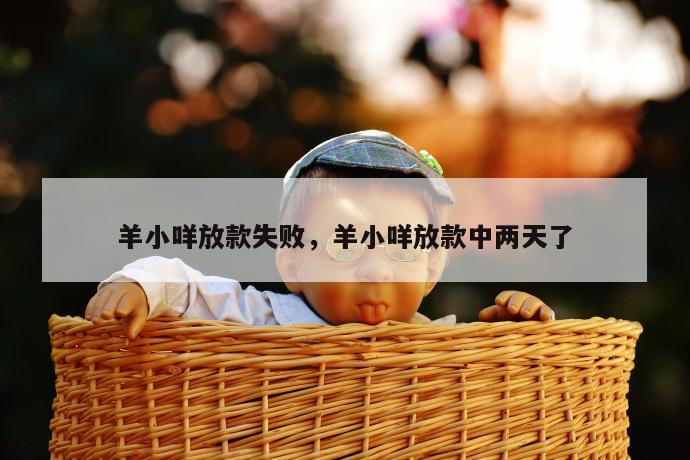 羊小咩放款失败,羊小咩放款中两天了 第1张 羊小咩放款失败,羊小咩放款中两天了 第1张