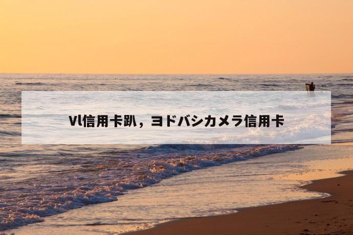 vl信用卡趴,ヨドバシカメラ信用卡 第1张 vl信用卡趴,ヨドバシカメラ信用卡 第1张