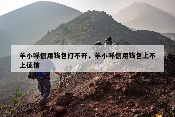 羊小咩信用钱包打不开,羊小咩信用钱包上不上征信 第1张 羊小咩信用钱包打不开,羊小咩信用钱包上不上征信 第1张