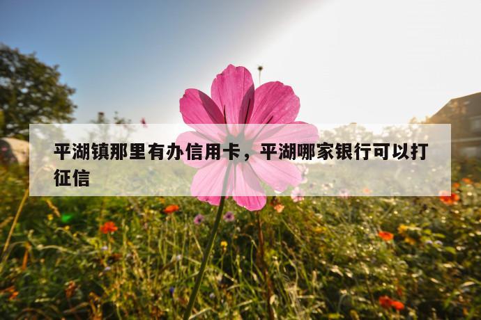 平湖镇那里有办信用卡,平湖哪家银行可以打征信 第1张 平湖镇那里有办信用卡,平湖哪家银行可以打征信 第1张