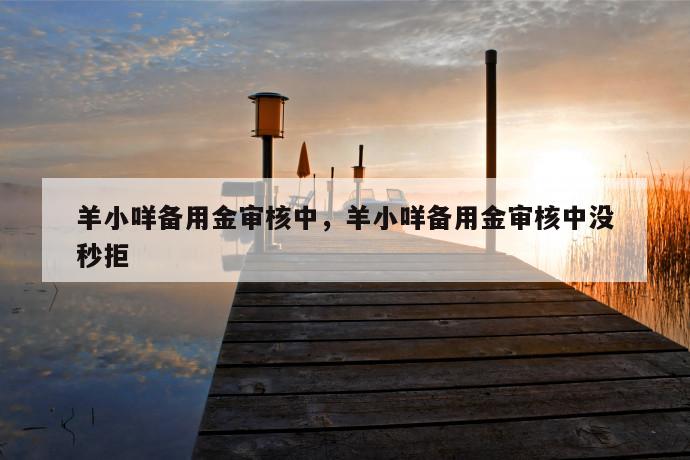 羊小咩备用金审核中,羊小咩备用金审核中没秒拒 第1张 羊小咩备用金审核中,羊小咩备用金审核中没秒拒 第1张