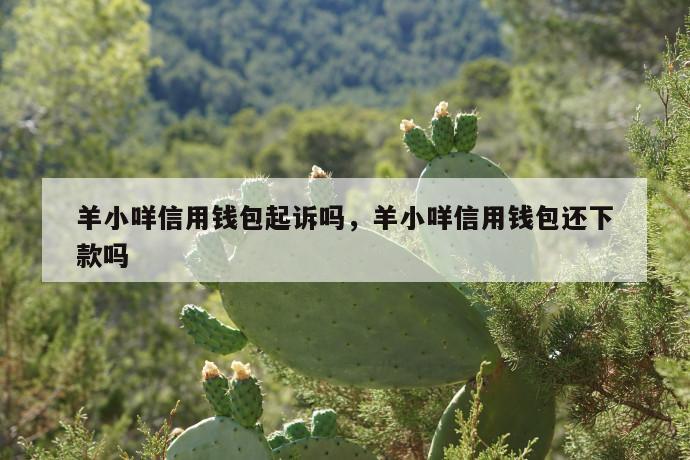 羊小咩信用钱包起诉吗,羊小咩信用钱包还下款吗 第1张 羊小咩信用钱包起诉吗,羊小咩信用钱包还下款吗 第1张