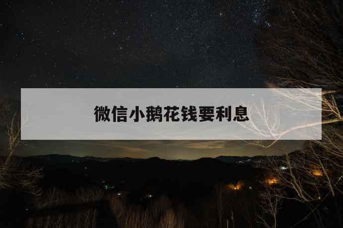 微信小鹅花钱要利息 第1张 微信小鹅花钱要利息 第1张
