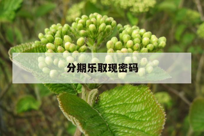 分期乐取现密码 第1张 分期乐取现密码 第1张