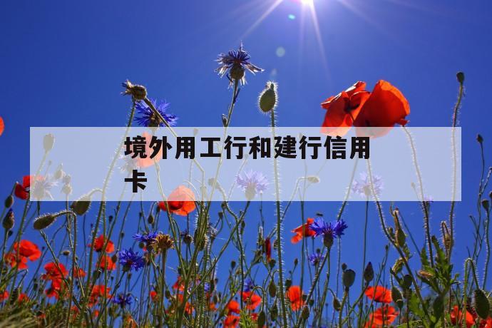 境外用工行和建行信用卡 第1张 境外用工行和建行信用卡 第1张
