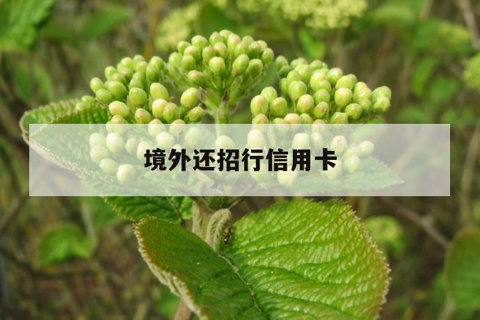 境外还招行信用卡 第1张 境外还招行信用卡 第1张