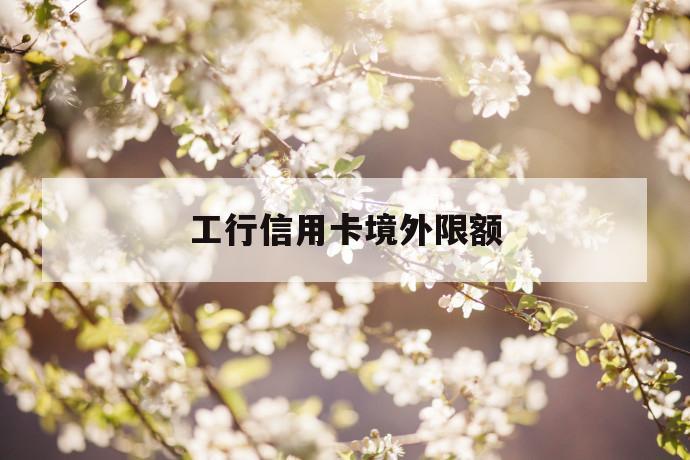工行信用卡境外限额 第1张 工行信用卡境外限额 第1张