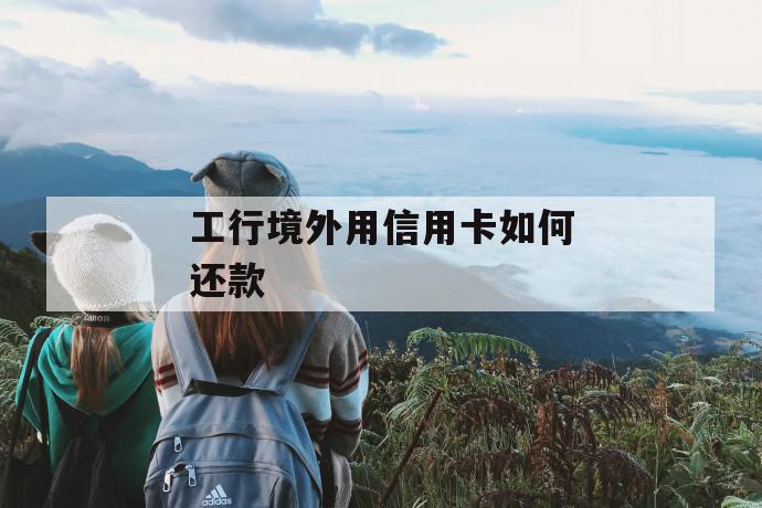工行境外用信用卡如何还款 第1张 工行境外用信用卡如何还款 第1张