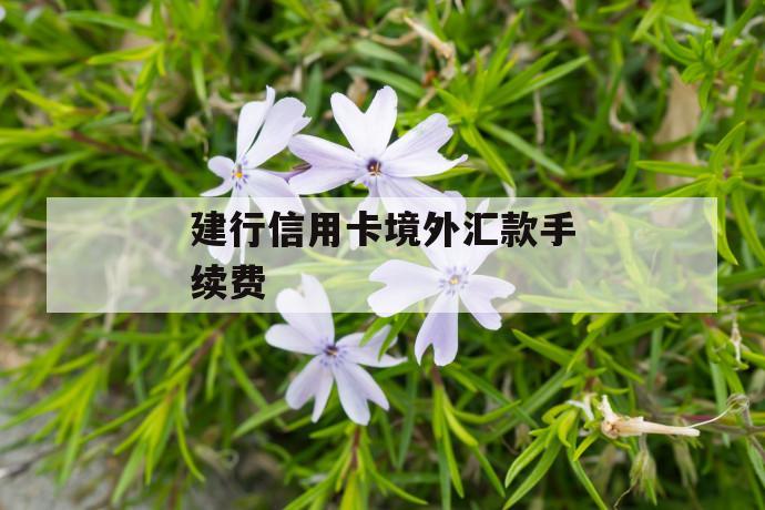 建行信用卡境外汇款手续费 第1张 建行信用卡境外汇款手续费 第1张