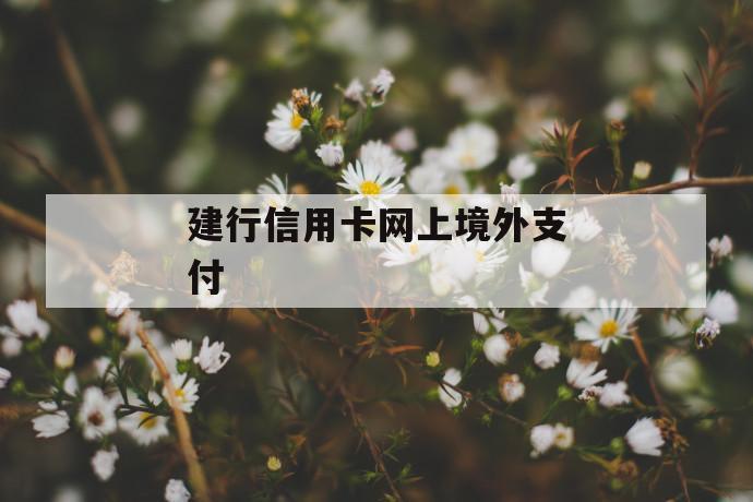 建行信用卡网上境外支付 第1张 建行信用卡网上境外支付 第1张