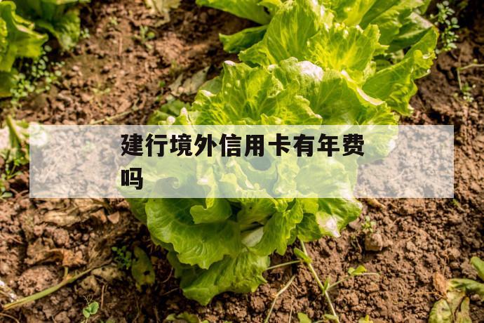 建行境外信用卡有年费吗 第1张 建行境外信用卡有年费吗 第1张