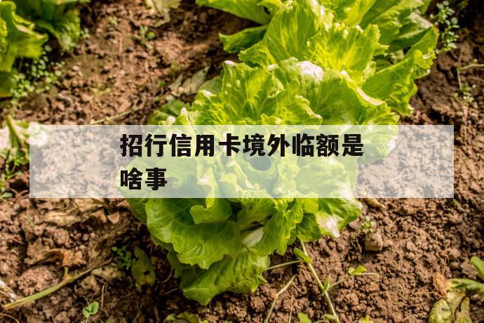 招行信用卡境外临额是啥事 第1张 招行信用卡境外临额是啥事 第1张