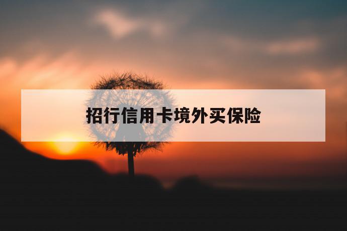 招行信用卡境外买保险 第1张 招行信用卡境外买保险 第1张