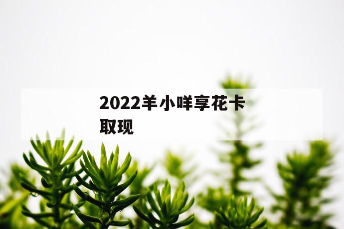 2022羊小咩享花卡取现 第1张 2022羊小咩享花卡取现 第1张