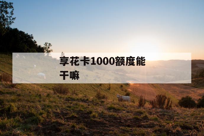 享花卡1000额度能干嘛 第1张 享花卡1000额度能干嘛 第1张