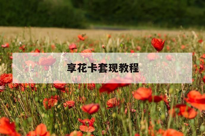 享花卡套现教程 第1张 享花卡套现教程 第1张