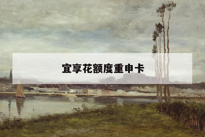 宜享花额度重申卡 第1张 宜享花额度重申卡 第1张