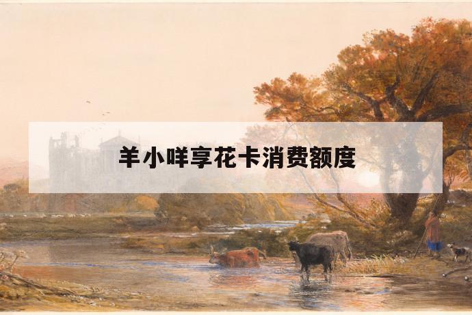 羊小咩享花卡消费额度 第1张 羊小咩享花卡消费额度 第1张