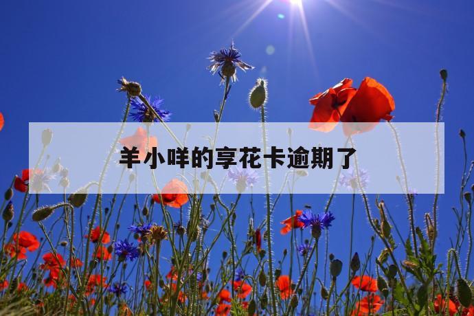 羊小咩的享花卡逾期了 第1张 羊小咩的享花卡逾期了 第1张