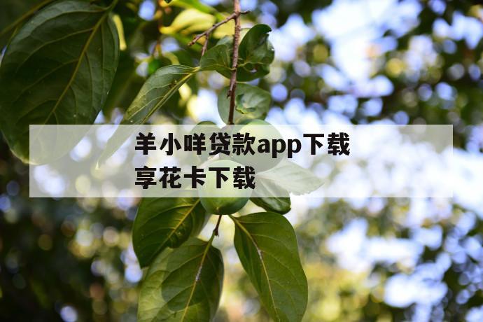 羊小咩贷款app下载享花卡下载 第1张 羊小咩贷款app下载享花卡下载 第1张