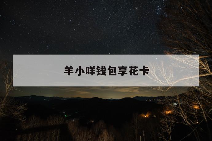 羊小咩钱包享花卡 第1张 羊小咩钱包享花卡 第1张
