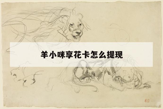 羊小咪享花卡怎么提现 第1张 羊小咪享花卡怎么提现 第1张