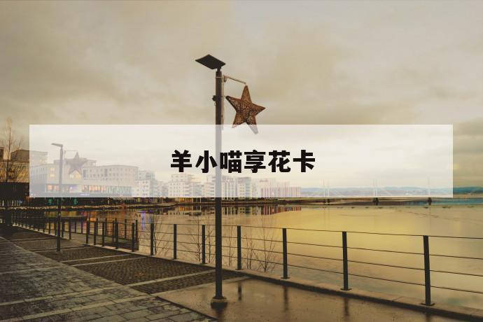 羊小喵享花卡 第1张 羊小喵享花卡 第1张