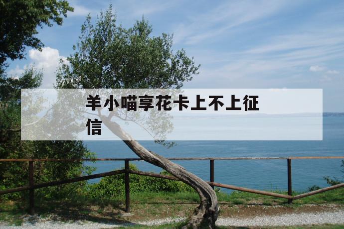 羊小喵享花卡上不上征信 第1张 羊小喵享花卡上不上征信 第1张