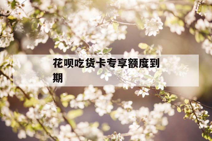 花呗吃货卡专享额度到期 第1张 花呗吃货卡专享额度到期 第1张