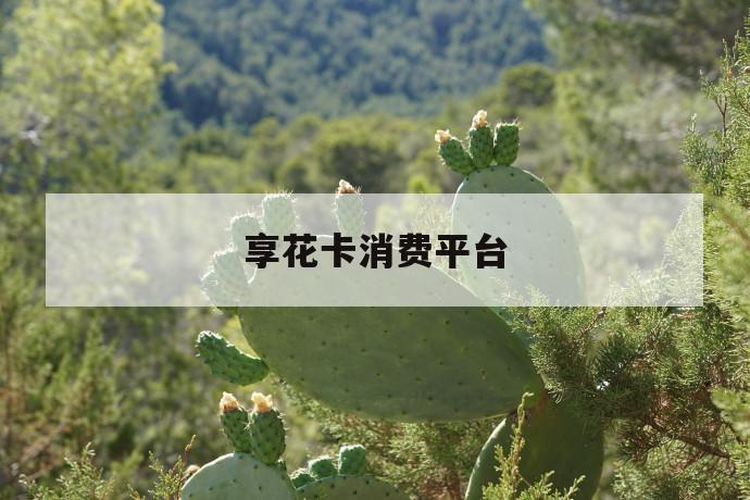 享花卡消费平台 第1张 享花卡消费平台 第1张