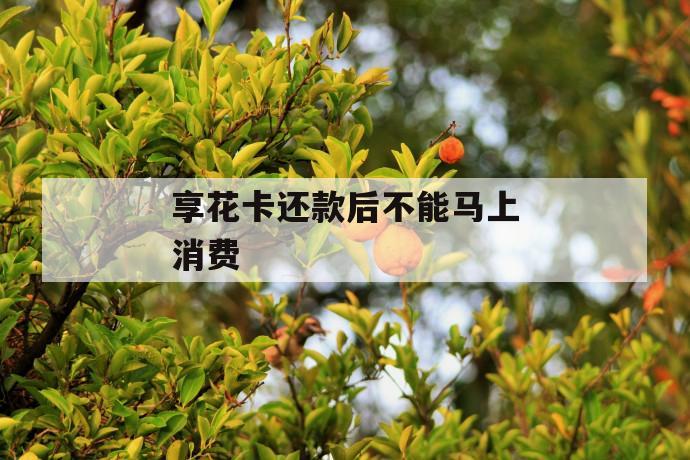 享花卡还款后不能马上消费 第1张 享花卡还款后不能马上消费 第1张