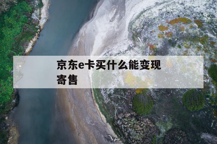 京东e卡买什么能变现寄售 第1张 京东e卡买什么能变现寄售 第1张